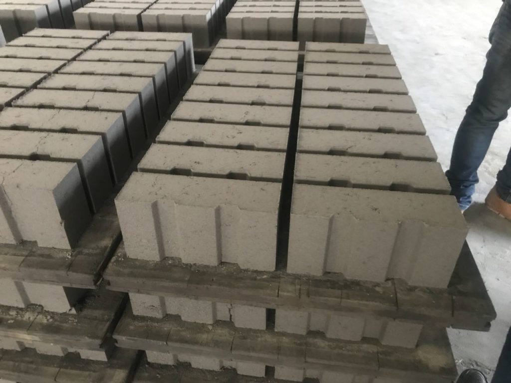 What are the advantages of using fly ash bricks